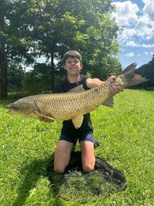 Grass Carp