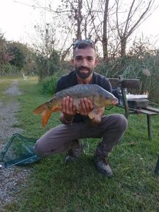 Mirror Carp