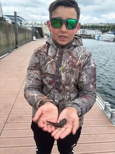 Giant Goby