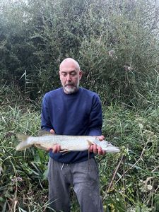 Northern Pike