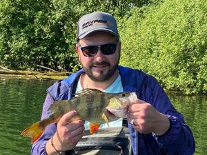 European Perch