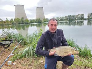 Common Bream