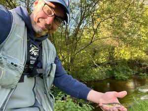 Brown Trout