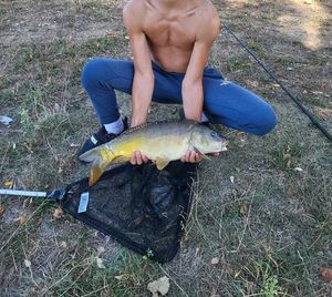 Leather Carp