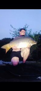 Mirror Carp