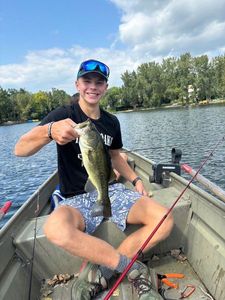 Largemouth Bass