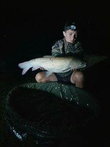 Grass Carp