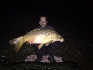 Mirror Carp