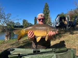 Common Carp