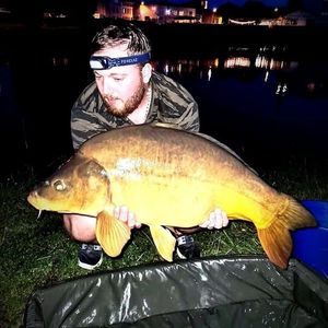 Leather Carp
