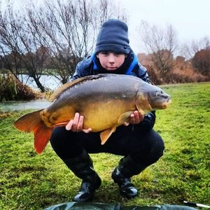 Mirror Carp
