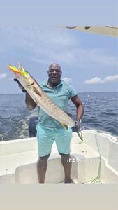Great Barracuda