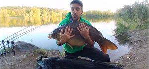 Mirror Carp