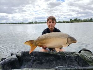Mirror Carp