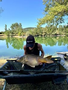 Mirror Carp