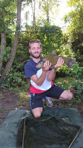 Tench