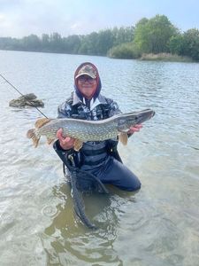 Northern Pike