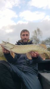 Northern Pike