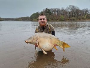 Mirror Carp