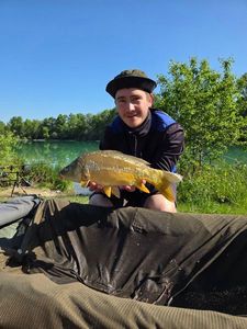 Mirror Carp