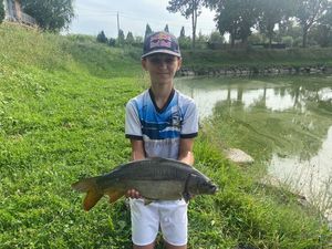 Mirror Carp