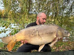 Mirror Carp