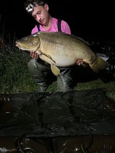 Mirror Carp