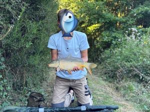 Mirror Carp