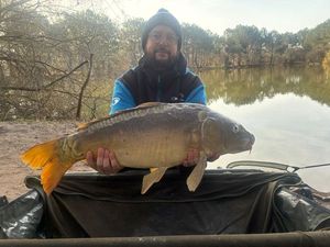 Mirror Carp
