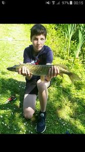 Northern Pike