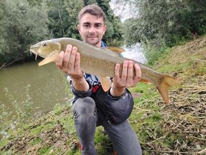 Barbel