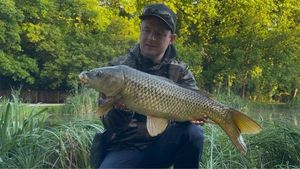 Common Carp
