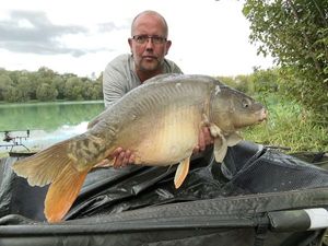 Mirror Carp