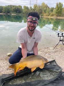 Mirror Carp