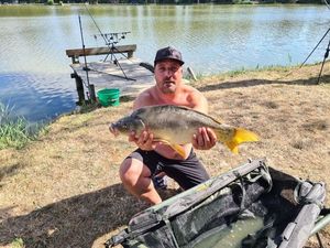Mirror Carp