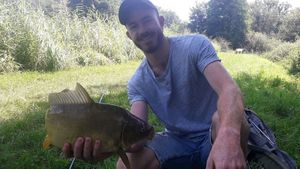 Common Carp