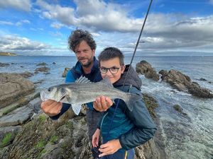 European Bass (Seabass)