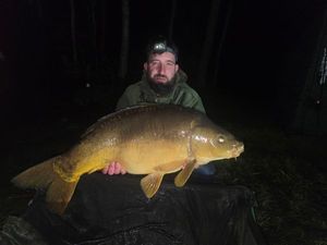 Mirror Carp