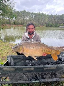 Leather Carp