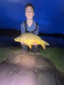 Mirror Carp