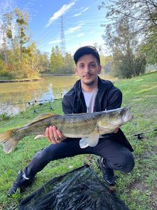 Photo de prise