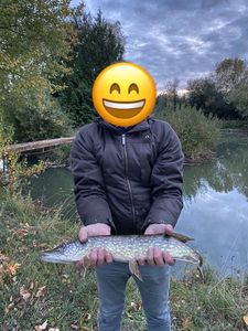 Northern Pike