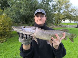 Northern Pike