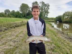 Northern Pike