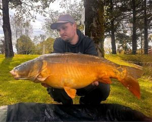 Mirror Carp