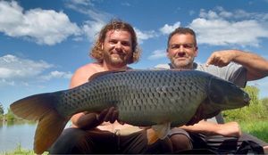 Common Carp