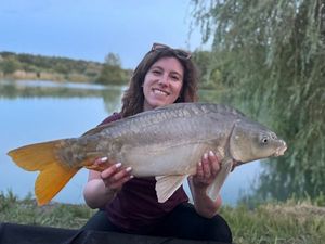 Mirror Carp