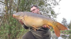 Mirror Carp