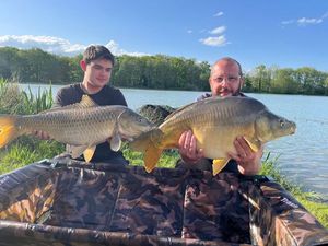 Common Carp