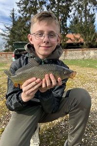 Common Carp